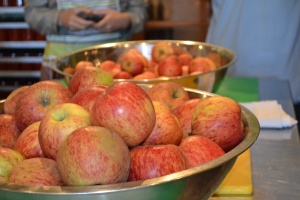 Farm fresh apples ready to be chopped up for the apple butter